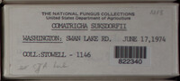 Image Associated With the Occurence